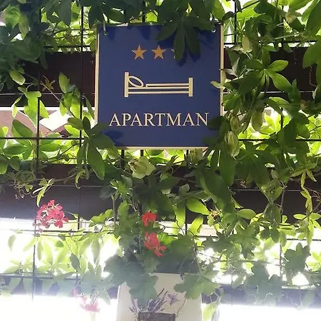 Perunika * Ζαντάρ