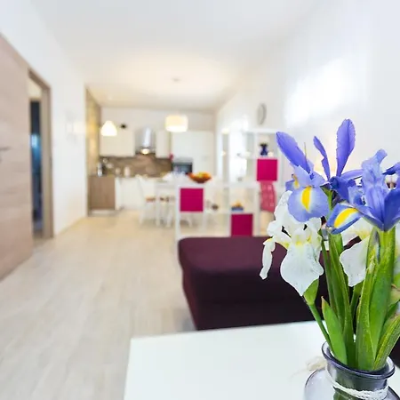 Perunika * Ζαντάρ